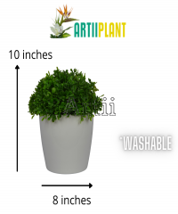 Artiiplant