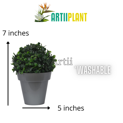 Artiiplant