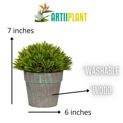 Artiiplant