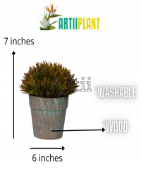 Artiiplant