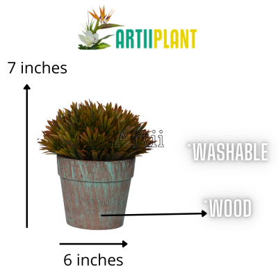 Artiiplant