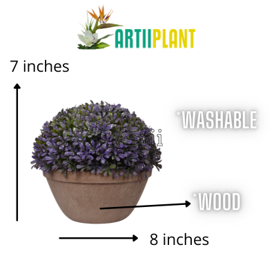 Artiiplant