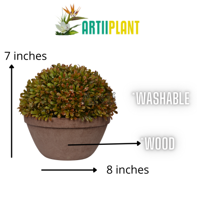 Artiiplant