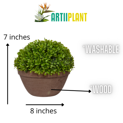 Artiiplant