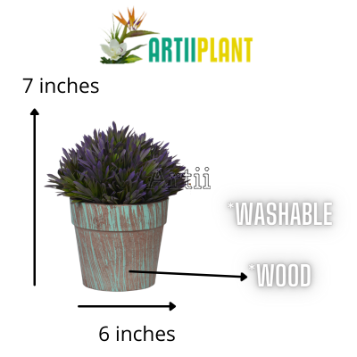 Artiiplant