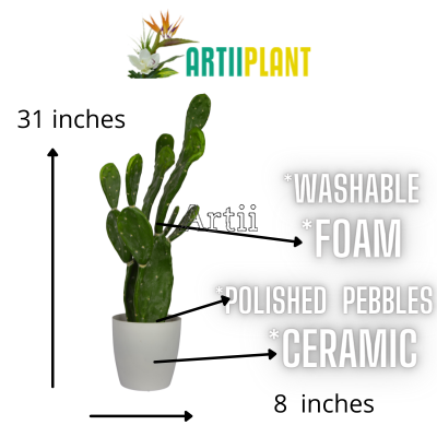 Artiiplant