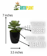 Artiiplant