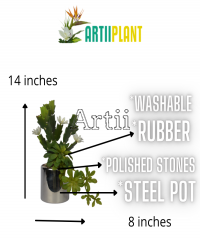 Artiiplant