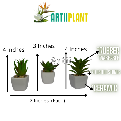 Artiiplant