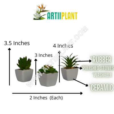 Artiiplant