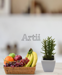 Artiiplant