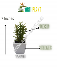 Artiiplant