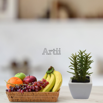 Artiiplant