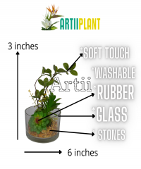 Artiiplant