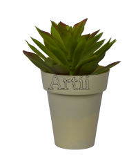 Artiiplant