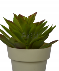 Artiiplant