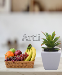 Artiiplant