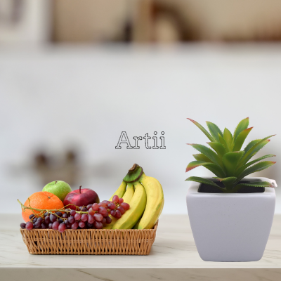 Artiiplant