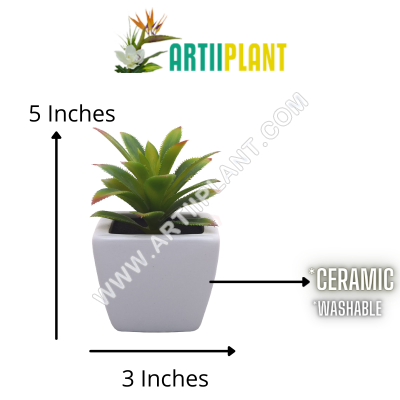 Artiiplant