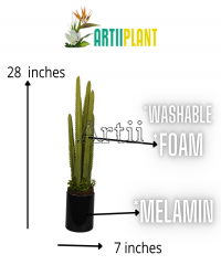 Artiiplant