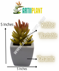 Artiiplant