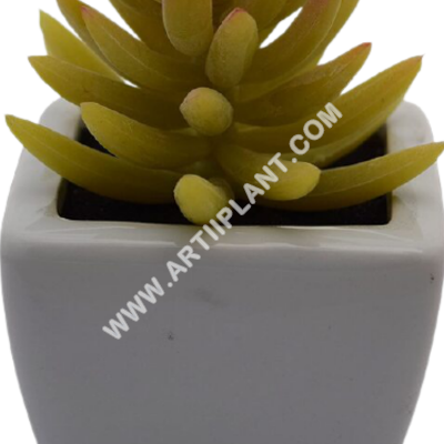 Artiiplant