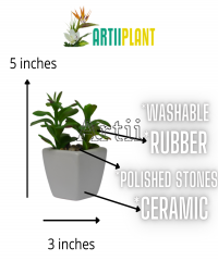 Artiiplant