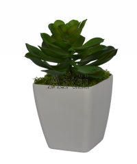 Artiiplant