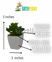 Artiiplant