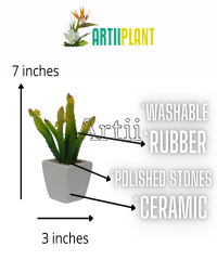 Artiiplant