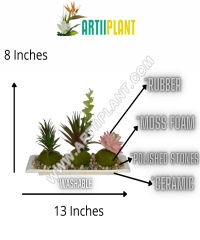 Artiiplant