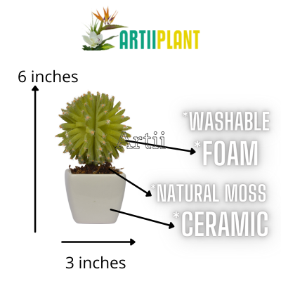 Artiiplant