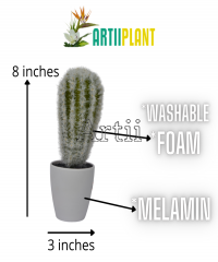 Artiiplant