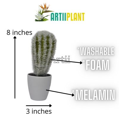 Artiiplant