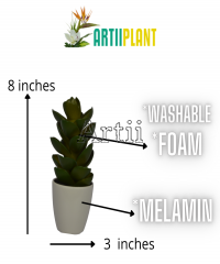 Artiiplant