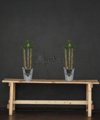 Artiiplant