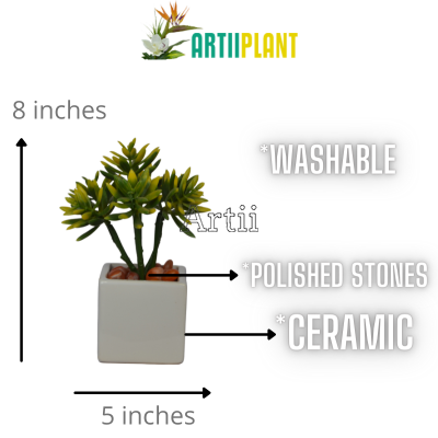 Artiiplant