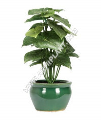 Artiiplant