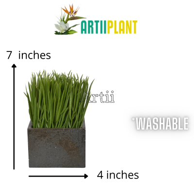 Artiiplant