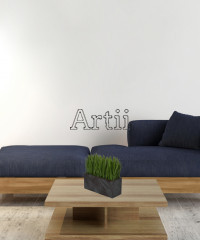 Artiiplant