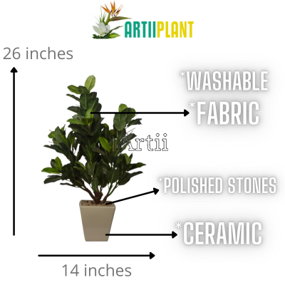 Artiiplant