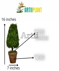 Artiiplant