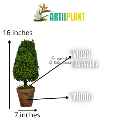 Artiiplant