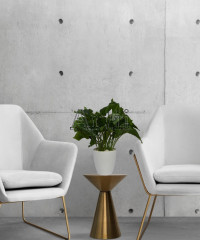 Artiiplant