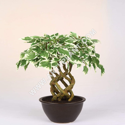 Artiiplant