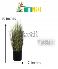 Artiiplant