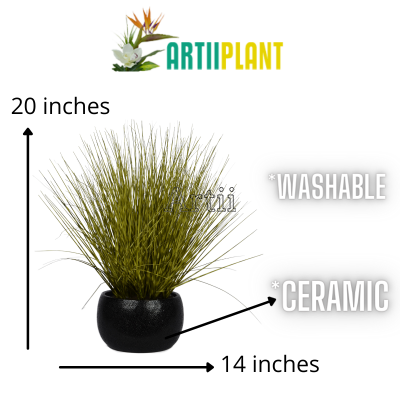 Artiiplant