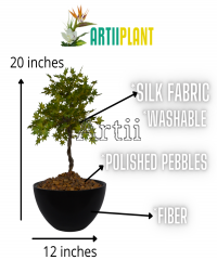 Artiiplant