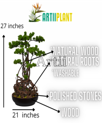 Artiiplant