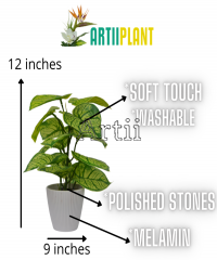 Artiiplant